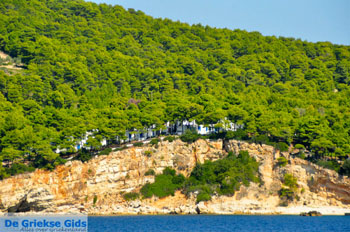 Alonissos stad (Chora) | Sporaden Griekenland foto 3 - Foto van https://www.grieksegids.nl/fotos/alonissos/normaal/alonissos-grieksegids-013.jpg