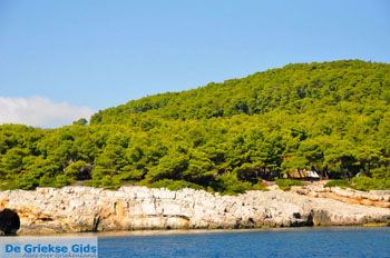 Zuidoostkust Alonissos | Sporaden Griekenland foto 5 - Foto van https://www.grieksegids.nl/fotos/alonissos/normaal/alonissos-grieksegids-020.jpg