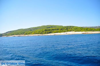 Zuidoostkust Alonissos | Sporaden Griekenland foto 8 - Foto van https://www.grieksegids.nl/fotos/alonissos/normaal/alonissos-grieksegids-025.jpg
