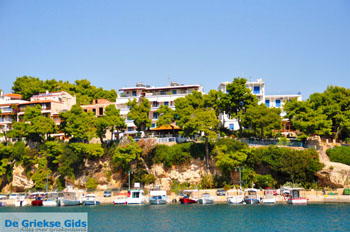 Patitiri | Alonissos Sporaden Griekenland foto 6 - Foto van https://www.grieksegids.nl/fotos/alonissos/normaal/alonissos-grieksegids-033.jpg