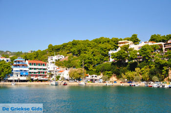 Patitiri | Alonissos Sporaden Griekenland foto 7 - Foto van https://www.grieksegids.nl/fotos/alonissos/normaal/alonissos-grieksegids-034.jpg