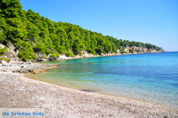 Milia Alonissos | Sporaden Griekenland foto 3 - Foto van https://www.grieksegids.nl/fotos/alonissos/normaal/alonissos-grieksegids-040.jpg