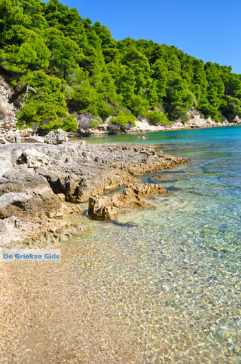 Milia Alonissos | Sporaden Griekenland foto 4 - Foto van https://www.grieksegids.nl/fotos/alonissos/normaal/alonissos-grieksegids-041.jpg
