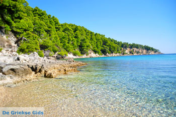 Milia Alonissos | Sporaden Griekenland foto 6 - Foto van https://www.grieksegids.nl/fotos/alonissos/normaal/alonissos-grieksegids-043.jpg