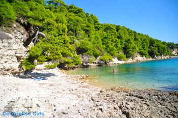 Milia Alonissos | Sporaden Griekenland foto 7 - Foto van https://www.grieksegids.nl/fotos/alonissos/normaal/alonissos-grieksegids-044.jpg