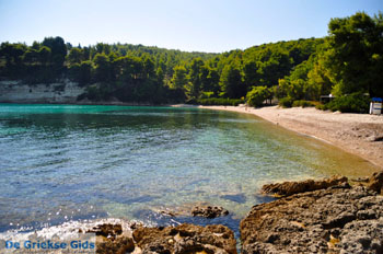 Milia Alonissos | Sporaden Griekenland foto 9 - Foto van https://www.grieksegids.nl/fotos/alonissos/normaal/alonissos-grieksegids-046.jpg