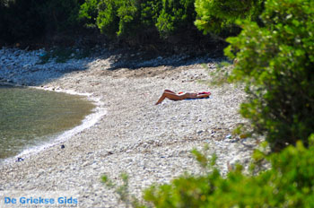 Milia Alonissos | Sporaden Griekenland foto 11 - Foto van https://www.grieksegids.nl/fotos/alonissos/normaal/alonissos-grieksegids-048.jpg