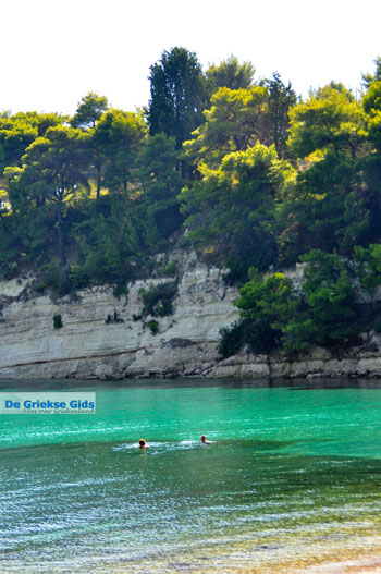 Milia Alonissos | Sporaden Griekenland foto 14 - Foto van https://www.grieksegids.nl/fotos/alonissos/normaal/alonissos-grieksegids-051.jpg