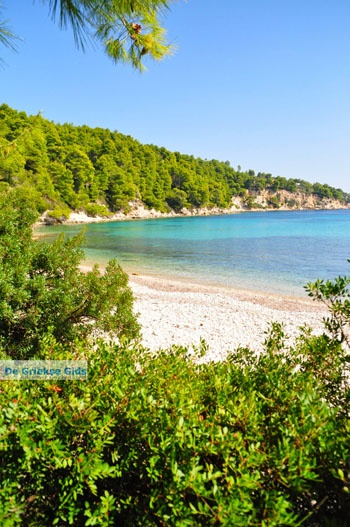 Milia Alonissos | Sporaden Griekenland foto 15 - Foto van https://www.grieksegids.nl/fotos/alonissos/normaal/alonissos-grieksegids-052.jpg