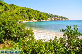 Milia Alonissos | Sporaden Griekenland foto 16 - Foto van https://www.grieksegids.nl/fotos/alonissos/normaal/alonissos-grieksegids-053.jpg