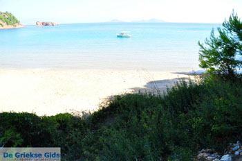 Chrisi Milia | Alonissos Sporaden Griekenland foto 5 - Foto van https://www.grieksegids.nl/fotos/alonissos/normaal/alonissos-grieksegids-058.jpg