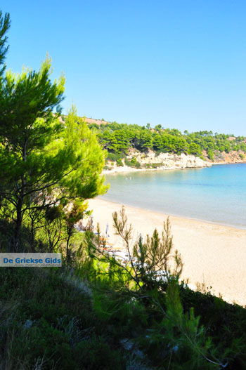 Chrisi Milia | Alonissos Sporaden Griekenland foto 7 - Foto van https://www.grieksegids.nl/fotos/alonissos/normaal/alonissos-grieksegids-060.jpg