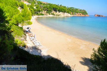 Chrisi Milia | Alonissos Sporaden Griekenland foto 8 - Foto van https://www.grieksegids.nl/fotos/alonissos/normaal/alonissos-grieksegids-061.jpg
