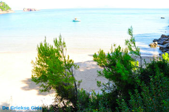 Chrisi Milia | Alonissos Sporaden Griekenland foto 10 - Foto van https://www.grieksegids.nl/fotos/alonissos/normaal/alonissos-grieksegids-063.jpg