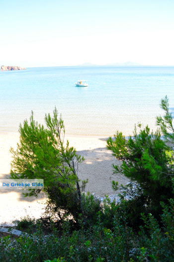 Chrisi Milia | Alonissos Sporaden Griekenland foto 11 - Foto van https://www.grieksegids.nl/fotos/alonissos/normaal/alonissos-grieksegids-064.jpg