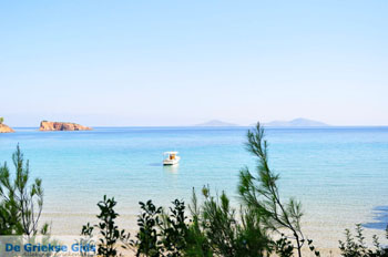 Chrisi Milia | Alonissos Sporaden Griekenland foto 12 - Foto van https://www.grieksegids.nl/fotos/alonissos/normaal/alonissos-grieksegids-065.jpg