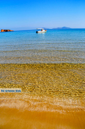 Chrisi Milia | Alonissos Sporaden Griekenland foto 20 - Foto van https://www.grieksegids.nl/fotos/alonissos/normaal/alonissos-grieksegids-073.jpg