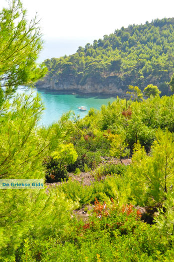 Chrisi Milia | Alonissos Sporaden Griekenland foto 25 - Foto van https://www.grieksegids.nl/fotos/alonissos/normaal/alonissos-grieksegids-078.jpg