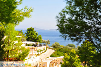 Chrisi Milia | Alonissos Sporaden Griekenland foto 26 - Foto van https://www.grieksegids.nl/fotos/alonissos/normaal/alonissos-grieksegids-079.jpg