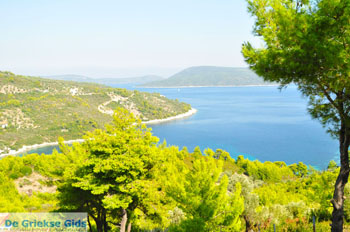 Oostkust Alonissos | Sporaden Griekenland foto 1 - Foto van https://www.grieksegids.nl/fotos/alonissos/normaal/alonissos-grieksegids-081.jpg