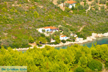 Oostkust Alonissos | Sporaden Griekenland foto 3 - Foto van https://www.grieksegids.nl/fotos/alonissos/normaal/alonissos-grieksegids-083.jpg