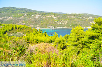 Tzortzi | Alonissos Sporaden Griekenland foto 1 - Foto van De Griekse Gids