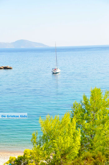 Kokkinokastro | Alonissos Sporaden Griekenland foto 2 - Foto van https://www.grieksegids.nl/fotos/alonissos/normaal/alonissos-grieksegids-092.jpg