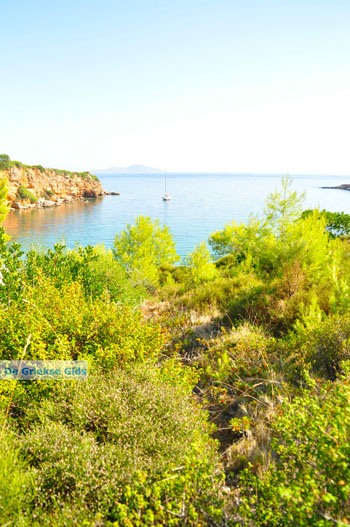 Kokkinokastro | Alonissos Sporaden Griekenland foto 4 - Foto van https://www.grieksegids.nl/fotos/alonissos/normaal/alonissos-grieksegids-094.jpg