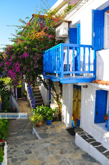 Alonissos stad (Chora) | Sporaden Griekenland foto 6 - Foto van https://www.grieksegids.nl/fotos/alonissos/normaal/alonissos-grieksegids-147.jpg