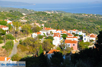 Alonissos stad (Chora) | Sporaden Griekenland foto 12 - Foto van https://www.grieksegids.nl/fotos/alonissos/normaal/alonissos-grieksegids-153.jpg