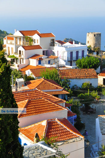 Alonissos stad (Chora) | Sporaden Griekenland foto 22 - Foto van https://www.grieksegids.nl/fotos/alonissos/normaal/alonissos-grieksegids-163.jpg