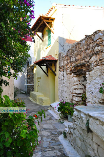 Alonissos stad (Chora) | Sporaden Griekenland foto 33 - Foto van https://www.grieksegids.nl/fotos/alonissos/normaal/alonissos-grieksegids-174.jpg