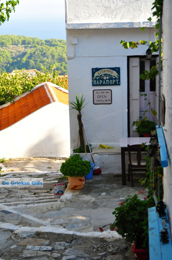 Alonissos stad (Chora) | Sporaden Griekenland foto 34 - Foto van https://www.grieksegids.nl/fotos/alonissos/normaal/alonissos-grieksegids-175.jpg