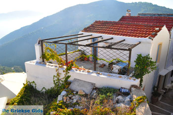 Alonissos stad (Chora) | Sporaden Griekenland foto 38 - Foto van https://www.grieksegids.nl/fotos/alonissos/normaal/alonissos-grieksegids-179.jpg