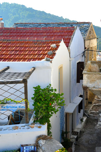 Alonissos stad (Chora) | Sporaden Griekenland foto 40 - Foto van https://www.grieksegids.nl/fotos/alonissos/normaal/alonissos-grieksegids-181.jpg
