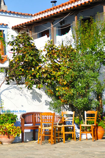 Alonissos stad (Chora) | Sporaden Griekenland foto 51 - Foto van https://www.grieksegids.nl/fotos/alonissos/normaal/alonissos-grieksegids-203.jpg