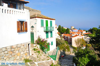 Alonissos stad (Chora) | Sporaden Griekenland foto 57 - Foto van https://www.grieksegids.nl/fotos/alonissos/normaal/alonissos-grieksegids-209.jpg