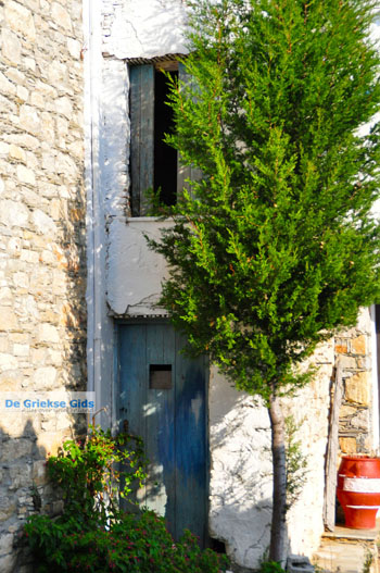 Alonissos stad (Chora) | Sporaden Griekenland foto 62 - Foto van https://www.grieksegids.nl/fotos/alonissos/normaal/alonissos-grieksegids-214.jpg
