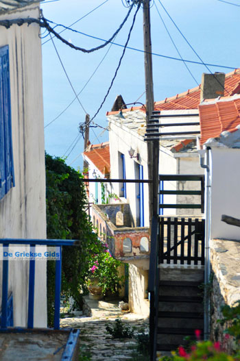 Alonissos stad (Chora) | Sporaden Griekenland foto 74 - Foto van https://www.grieksegids.nl/fotos/alonissos/normaal/alonissos-grieksegids-228.jpg