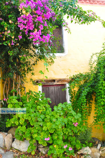 Alonissos stad (Chora) | Sporaden Griekenland foto 86 - Foto van https://www.grieksegids.nl/fotos/alonissos/normaal/alonissos-grieksegids-242.jpg