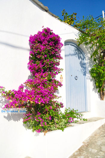 Alonissos stad (Chora) | Sporaden Griekenland foto 90 - Foto van https://www.grieksegids.nl/fotos/alonissos/normaal/alonissos-grieksegids-246.jpg