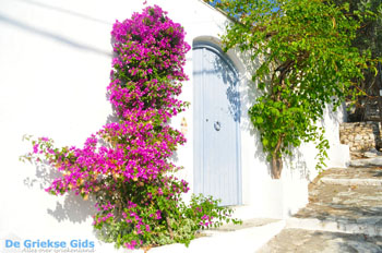 Alonissos stad (Chora) | Sporaden Griekenland foto 91 - Foto van https://www.grieksegids.nl/fotos/alonissos/normaal/alonissos-grieksegids-247.jpg