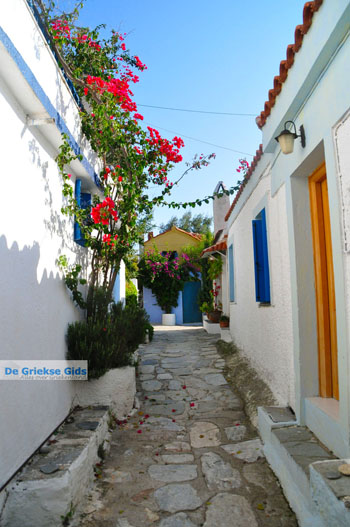 Alonissos stad (Chora) | Sporaden Griekenland foto 94 - Foto van https://www.grieksegids.nl/fotos/alonissos/normaal/alonissos-grieksegids-250.jpg