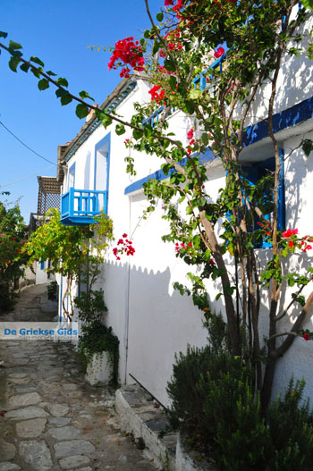 Alonissos stad (Chora) | Sporaden Griekenland foto 96 - Foto van https://www.grieksegids.nl/fotos/alonissos/normaal/alonissos-grieksegids-252.jpg