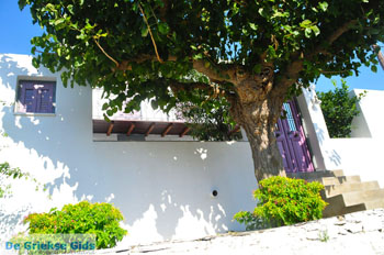 Alonissos stad (Chora) | Sporaden Griekenland foto 115 - Foto van https://www.grieksegids.nl/fotos/alonissos/normaal/alonissos-grieksegids-279.jpg