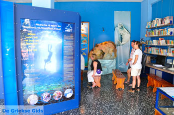 MOM, bescherming Monachus-Monachus zeehonden Alonissos | Sporaden foto 3 - Foto van https://www.grieksegids.nl/fotos/alonissos/normaal/alonissos-grieksegids-303.jpg