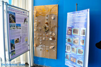 MOM, bescherming Monachus-Monachus zeehonden Alonissos | Sporaden foto 6 - Foto van https://www.grieksegids.nl/fotos/alonissos/normaal/alonissos-grieksegids-306.jpg