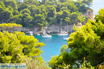 Votsi, Hotel Yalis | Alonissos Sporaden Griekenland foto 2 - Foto van https://www.grieksegids.nl/fotos/alonissos/normaal/alonissos-grieksegids-310.jpg