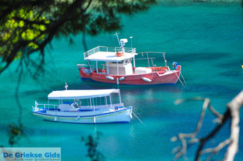 Votsi | Alonissos Sporaden Griekenland foto 5 - Foto van https://www.grieksegids.nl/fotos/alonissos/normaal/alonissos-grieksegids-313.jpg
