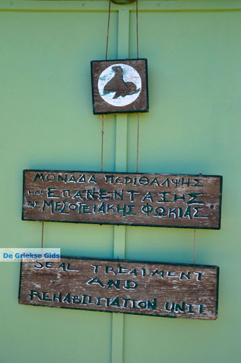 MOM, bescherming Monachus-Monachus zeehonden Alonissos | Sporaden foto 9 - Foto van https://www.grieksegids.nl/fotos/alonissos/normaal/alonissos-grieksegids-370.jpg